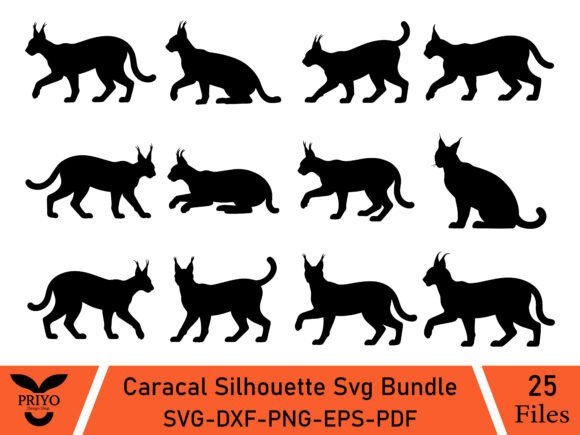 A Crafter’s Review: The Caracal Silhouette Graphics Bundle
