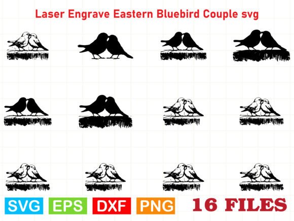 Eastern Bluebird Couple Graphics for Editorial Design
